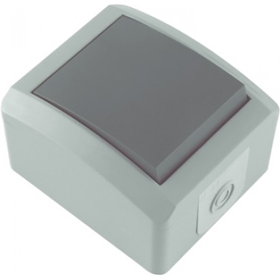 КЛЮЧ IP44ЕДЕНИЧЕН СХ.1  СИВ/АНТРАЦ.10А/250V/18080492