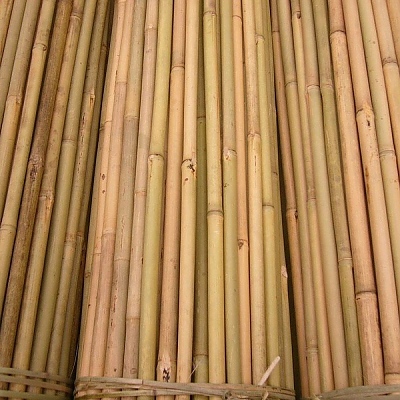Бамбукови колчета за растения 240 см. Ф18-20 мм. 